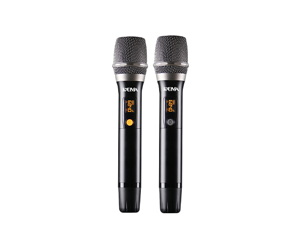 2 MICRO KHÔNG DÂY ĐI KÈM